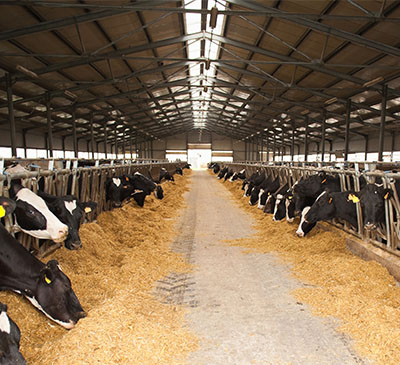 Global Livestock Grow Lights Market 2019-2023